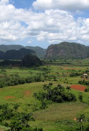 Cuba: The Accidental Eden (2010)