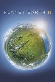 Planet Earth II Free Tv Series