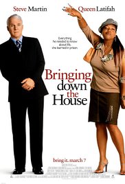 Bringing Down the House (2003) Free Movie