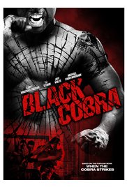 Black Cobra (Video 2012)